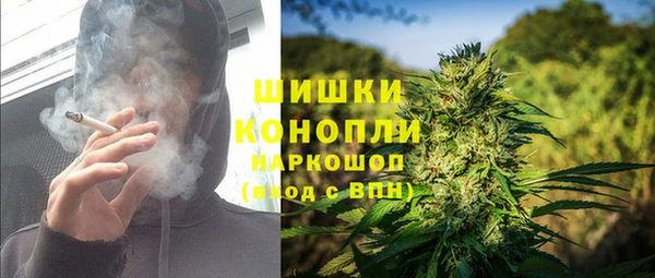 гидра Киреевск