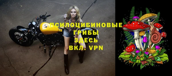 2c-b Козловка